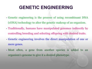 • Genetic engineering is the process of using recombinant DNA
(rDNA) technology to alter the genetic makeup of an organism.
• Traditionally, humans have manipulated genomes indirectly by
controlling breeding and selecting offspring with desired traits.
• Genetic engineering involves the direct manipulation of one or
more genes.
• Most often, a gene from another species is added to an
organism's genome to give it a desired phenotype.
GENETIC ENGINEERING
 