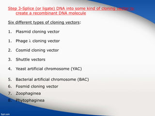 Step 3-Splice (or ligate) DNA into some kind of cloning vector to
create a recombinant DNA molecule
Six different types of cloning vectors:
1. Plasmid cloning vector
1. Phage  cloning vector
2. Cosmid cloning vector
3. Shuttle vectors
4. Yeast artificial chromosome (YAC)
5. Bacterial artificial chromosome (BAC)
6. Fosmid cloning vector
7. Zoophaginea
8. Phytophaginea
 
