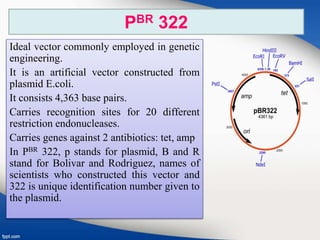PBR 322
Ideal vector commonly employed in genetic
engineering.
It is an artificial vector constructed from
plasmid E.coli.
It consists 4,363 base pairs.
Carries recognition sites for 20 different
restriction endonucleases.
Carries genes against 2 antibiotics: tet, amp
In PBR 322, p stands for plasmid, B and R
stand for Bolivar and Rodriguez, names of
scientists who constructed this vector and
322 is unique identification number given to
the plasmid.
 