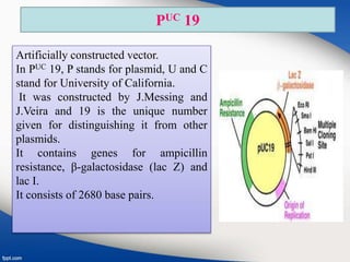 PUC 19
Artificially constructed vector.
In PUC 19, P stands for plasmid, U and C
stand for University of California.
It was constructed by J.Messing and
J.Veira and 19 is the unique number
given for distinguishing it from other
plasmids.
It contains genes for ampicillin
resistance, β-galactosidase (lac Z) and
lac I.
It consists of 2680 base pairs.
 