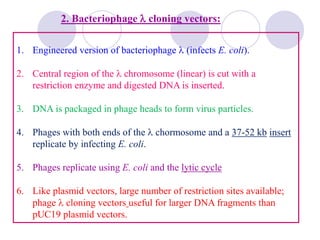 1. Engineered version of bacteriophage  (infects E. coli).
2. Central region of the  chromosome (linear) is cut with a
restriction enzyme and digested DNA is inserted.
3. DNA is packaged in phage heads to form virus particles.
4. Phages with both ends of the  chormosome and a 37-52 kb insert
replicate by infecting E. coli.
5. Phages replicate using E. coli and the lytic cycle
6. Like plasmid vectors, large number of restriction sites available;
phage  cloning vectors useful for larger DNA fragments than
pUC19 plasmid vectors.
2. Bacteriophage  cloning vectors:
 
