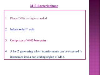 1. Phage DNA is single stranded
2. Infects only F+ cells
3. Comprises of 6402 base pairs
4. A lac Z gene using which transformants can be screened is
introduced into a non-coding region of M13.
M13 Bacteriophage
 