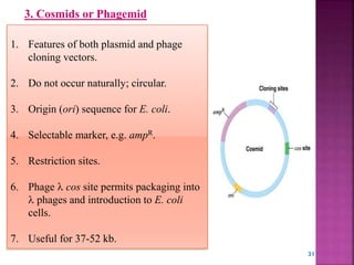 1. Features of both plasmid and phage
cloning vectors.
2. Do not occur naturally; circular.
3. Origin (ori) sequence for E. coli.
4. Selectable marker, e.g. ampR.
5. Restriction sites.
6. Phage  cos site permits packaging into
 phages and introduction to E. coli
cells.
7. Useful for 37-52 kb.
3. Cosmids or Phagemid
31
 