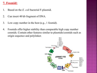 7. Fosmid:
1. Based on the E. coli bacterial F-plasmid.
2. Can insert 40 kb fragment of DNA.
3. Low copy number in the host (e.g., 1 fosmid).
4. Fosmids offer higher stability than comparable high copy number
cosmids. Contain other features similar to plasmids/cosmids such as
origin sequence and polylinker.
 