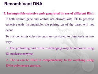 5. Incompatible cohesive ends generated by use of different REs:
If both desired gene and vectors are cleaved with RE to generate
cohesive ends incompatible, the pairing up of the bases will not
occur.
To overcome this cohesive ends are converted to blunt ends in two
ways.
1. The protruding end or the overhanging may be removed using
S1 nuclease enzyme.
2. The ss can be filled in complementary to the overhang using
DNA polymerase enzyme.
Recombinant DNA
 