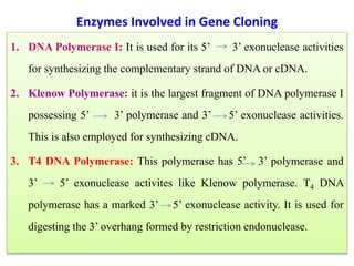 Enzymes Involved in Gene Cloning
1. DNA Polymerase I: It is used for its 5’ 3’ exonuclease activities
for synthesizing the complementary strand of DNA or cDNA.
2. Klenow Polymerase: it is the largest fragment of DNA polymerase I
possessing 5’ 3’ polymerase and 3’ 5’ exonuclease activities.
This is also employed for synthesizing cDNA.
3. T4 DNA Polymerase: This polymerase has 5’ 3’ polymerase and
3’ 5’ exonuclease activites like Klenow polymerase. T4 DNA
polymerase has a marked 3’ 5’ exonuclease activity. It is used for
digesting the 3’ overhang formed by restriction endonuclease.
 