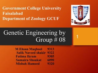 Genetic Engineering by
Group # 08
M Ehsan Maqbool 9313
Salik Naveed shakir 9322
Fatima Ikram 9305
Sumaira Shoukat 6090
Misbah Hameed 9320
1
Government College University
Faisalabad
Department of Zoology GCUF
 