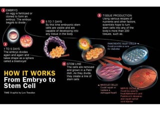 genetic_engineering.ppt
