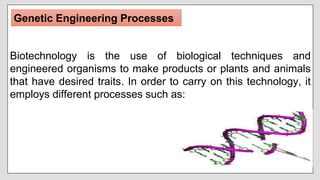 Biotechnology is the use of biological techniques and
engineered organisms to make products or plants and animals
that have desired traits. In order to carry on this technology, it
employs different processes such as:
Genetic Engineering Processes
 