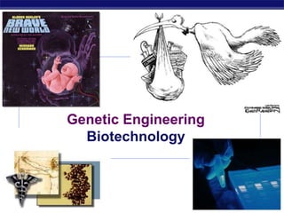 Regents Biology 2006-2007
Genetic Engineering
Biotechnology
 