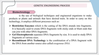 GENETIC ENGINEERING.pptx