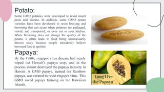Engineering Potato GENETIC ENGINEERING.pptx