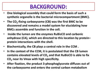 • One biological assembly that could form the basis of such a
synthetic organelle is the bacterial microcompartment (BMC).
• The CO2-fixing carboxysome (CB) was the first BMC to be
discovered and remains a model system for elucidating how
BMCs assemble and function in the cell.
• Inside the lumen are the enzymes RuBisCO and carbonic
anhydrase (CA), which are directed to this location by protein–
protein interactions with the shell.
• Biochemically, the CB plays a central role in the CCM .
• In the context of the CCM, it is postulated that the CB lumen
contains elevated levels of CO2 and that RuBisCO is able to fix
CO2 near its Vmax with high specificity.
• After fixation, the product 3-phosphoglycerate diffuses out of
the carboxysome and enters the central carbon metabolism
 