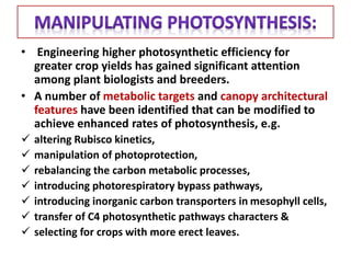 • Engineering higher photosynthetic efficiency for
greater crop yields has gained significant attention
among plant biologists and breeders.
• A number of metabolic targets and canopy architectural
features have been identified that can be modified to
achieve enhanced rates of photosynthesis, e.g.
 altering Rubisco kinetics,
 manipulation of photoprotection,
 rebalancing the carbon metabolic processes,
 introducing photorespiratory bypass pathways,
 introducing inorganic carbon transporters in mesophyll cells,
 transfer of C4 photosynthetic pathways characters &
 selecting for crops with more erect leaves.
 