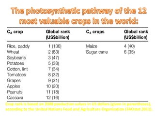 Crop rank is based on 2008 production values in US dollars (given in parentheses),
according to the United Nations Food and Agriculture Organization (FAOstat 2011).
 
