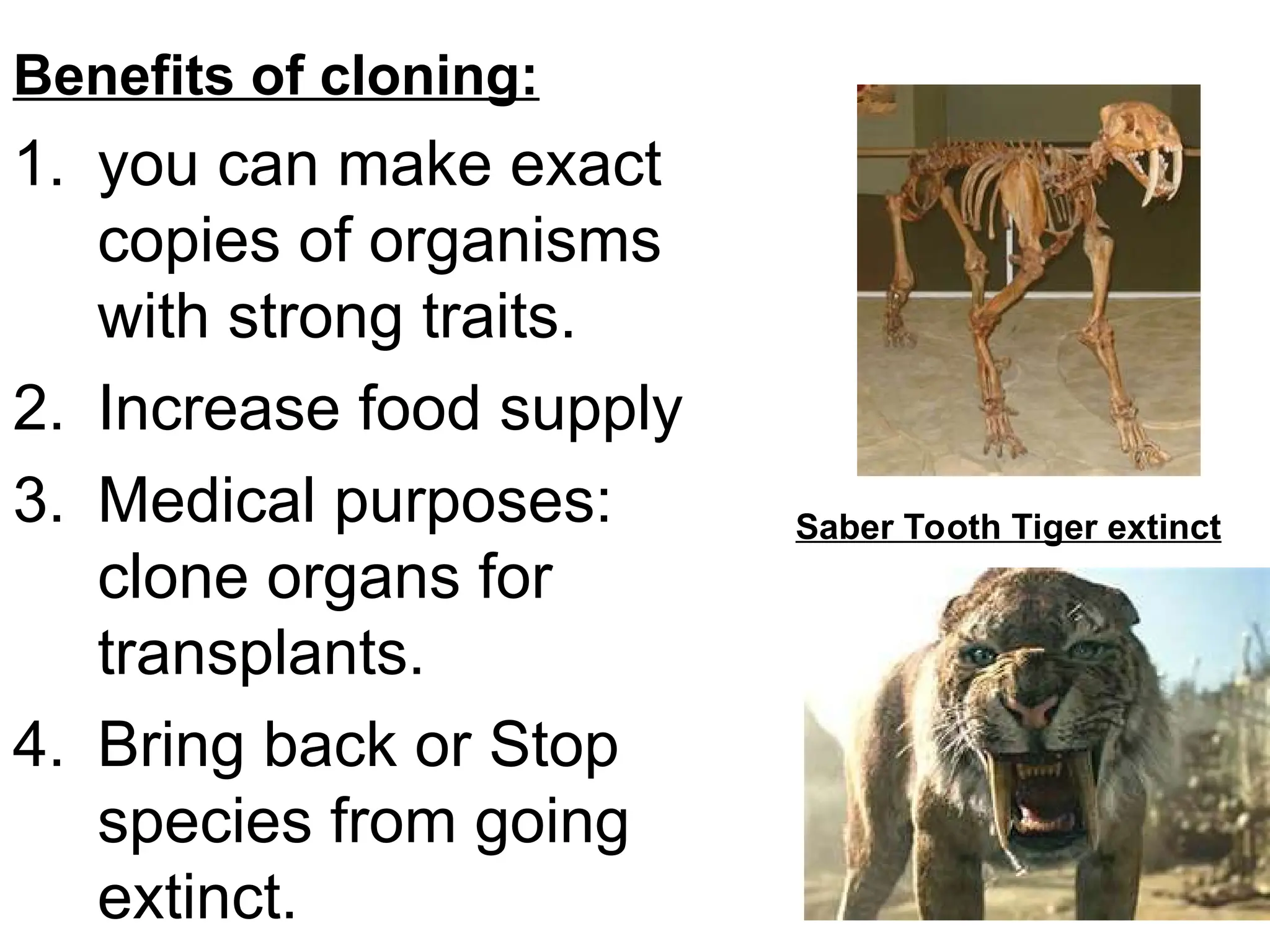 Benefits of cloning:
1. you can make exact
copies of organisms
with strong traits.
2. Increase food supply
3. Medical purposes:
clone organs for
transplants.
4. Bring back or Stop
species from going
extinct.
Saber Tooth Tiger extinct
 