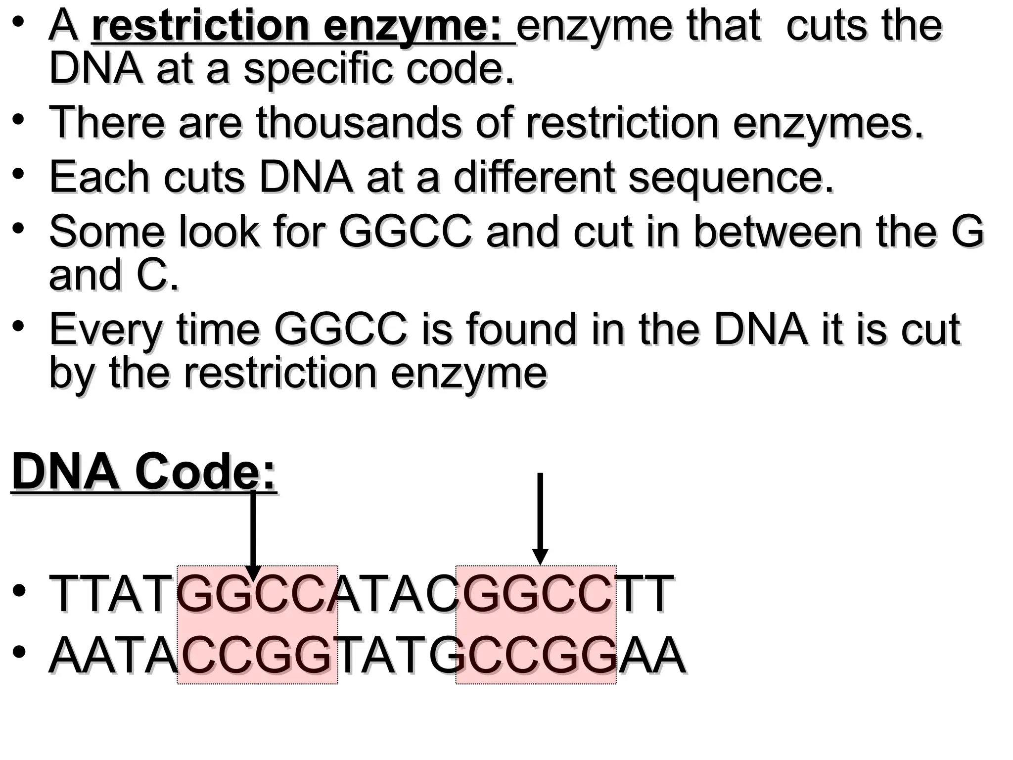• A
A restriction enzyme:
restriction enzyme: enzyme that cuts the
enzyme that cuts the
DNA at a specific code.
DNA at a specific code.
• There are thousands of restriction enzymes.
There are thousands of restriction enzymes.
• Each cuts DNA at a different sequence.
Each cuts DNA at a different sequence.
• Some look for GGCC and cut in between the G
Some look for GGCC and cut in between the G
and C.
and C.
• Every time GGCC is found in the DNA it is cut
Every time GGCC is found in the DNA it is cut
by the restriction enzyme
by the restriction enzyme
DNA Code:
DNA Code:
• TTATGGCCATACGGCCTT
TTATGGCCATACGGCCTT
• AATACCGGTATGCCGGAA
AATACCGGTATGCCGGAA
 