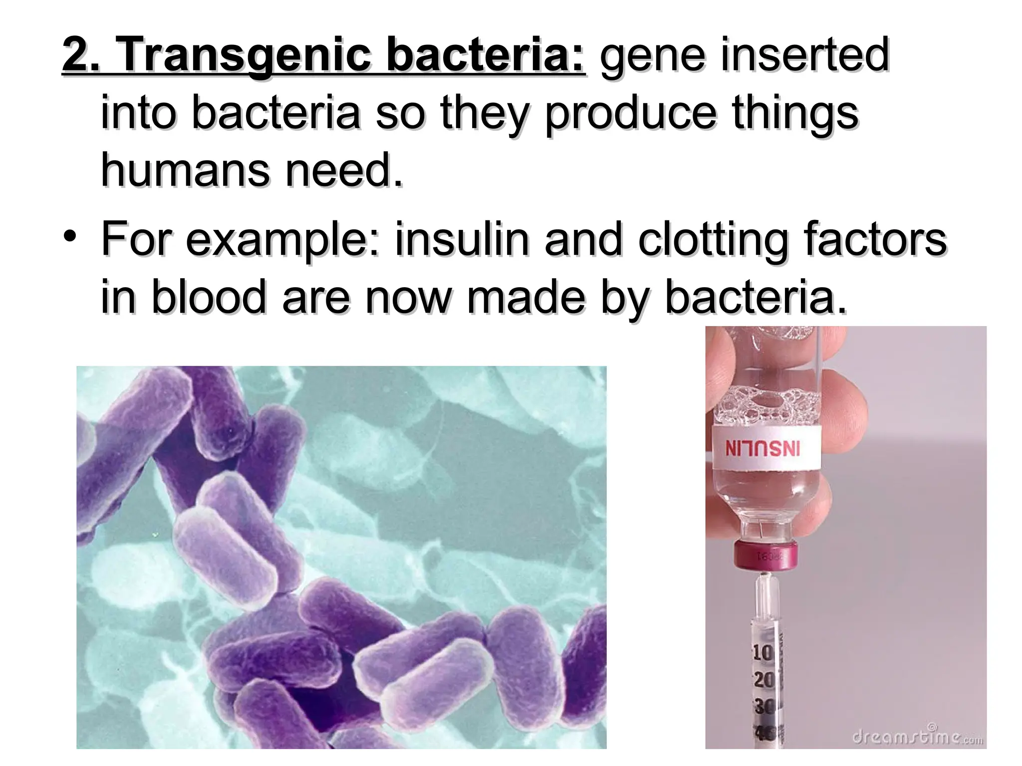 2. Transgenic bacteria:
2. Transgenic bacteria: gene inserted
gene inserted
into bacteria so they produce things
into bacteria so they produce things
humans need.
humans need.
• For example: insulin and clotting factors
For example: insulin and clotting factors
in blood are now made by bacteria.
in blood are now made by bacteria.
 