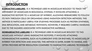 INTRODUCTION
RADIOACTIVE LABELLING IS A TECHNIQUE USED IN MOLECULAR BIOLOGY TO TRACK THE
MOVEMENT OF MOLECULES IN BIOLOGICAL SYSTEMS. IT INVOLVES ATTACHING A
RADIOACTIVE ISOTOPE TO A MOLECULE OF INTEREST, ALLOWING RESEARCHERS TO FOLLOW
ITS PATH THROUGH CELLS OR ORGANISMS USING RADIATION DETECTION METHODS. THIS
METHOD IS PARTICULARLY USEFUL FOR STUDYING PROCESSES SUCH AS PROTEIN SYNTHESIS,
DNA REPLICATION, AND METABOLIC PATHWAYS. HOWEVER, IT REQUIRES CAREFUL HANDLING
DUE TO THE HAZARDS ASSOCIATED WITH RADIOACTIVE MATERIALS.
NONRADIOACTIVE LABELLING IS A TECHNIQUE USED IN MOLECULAR BIOLOGY TO TAG
MOLECULES WITHOUT USING RADIOACTIVE ISOTOPES. IT INVOLVES ATTACHING
NONRADIOACTIVE MARKERS, SUCH AS FLUORESCENT DYES OR ENZYMES, TO MOLECULES OF
INTEREST FOR DETECTION AND ANALYSIS. THIS METHOD IS SAFER, EASIER TO HANDLE, AND
OFTEN PROVIDES BETTER RESOLUTION COMPARED TO RADIOACTIVE LABELING TECHNIQUES.
 