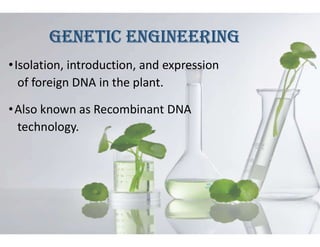 GENETIC ENGINEERING
•Isolation, introduction, and expression
of foreign DNA in the plant.
•Also known as Recombinant DNA
technology.
 