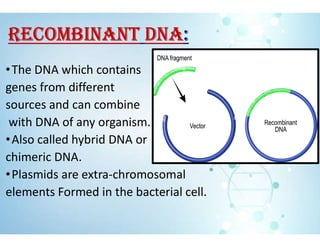 RECOMBINANT DNA:
•The DNA which contains
genes from different
sources and can combine
with DNA of any organism.
•Also called hybrid DNA or
chimeric DNA.
•Plasmids are extra-chromosomal
elements Formed in the bacterial cell.
 