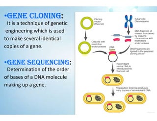 •GENE CLONING:
It is a technique of genetic
engineering which is used
to make several identical
copies of a gene.
•GENE SEQUENCING:
Determination of the order
of bases of a DNA molecule
making up a gene.
 