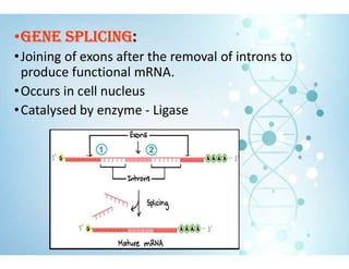 •GENE SPLICING:
•Joining of exons after the removal of introns to
produce functional mRNA.
•Occurs in cell nucleus
•Catalysed by enzyme - Ligase
 