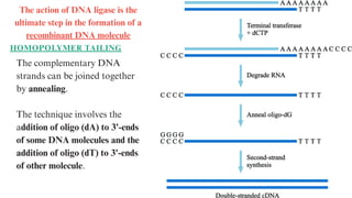 Genetic Engineering General introduction) -Biotechnology | PDF