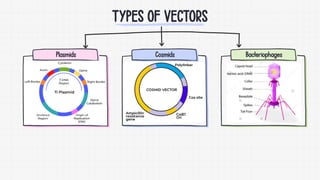 Genetic Engineering General introduction) -Biotechnology | PDF
