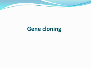 Gene cloning
 