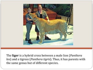 Genetic engineering2 | PPT