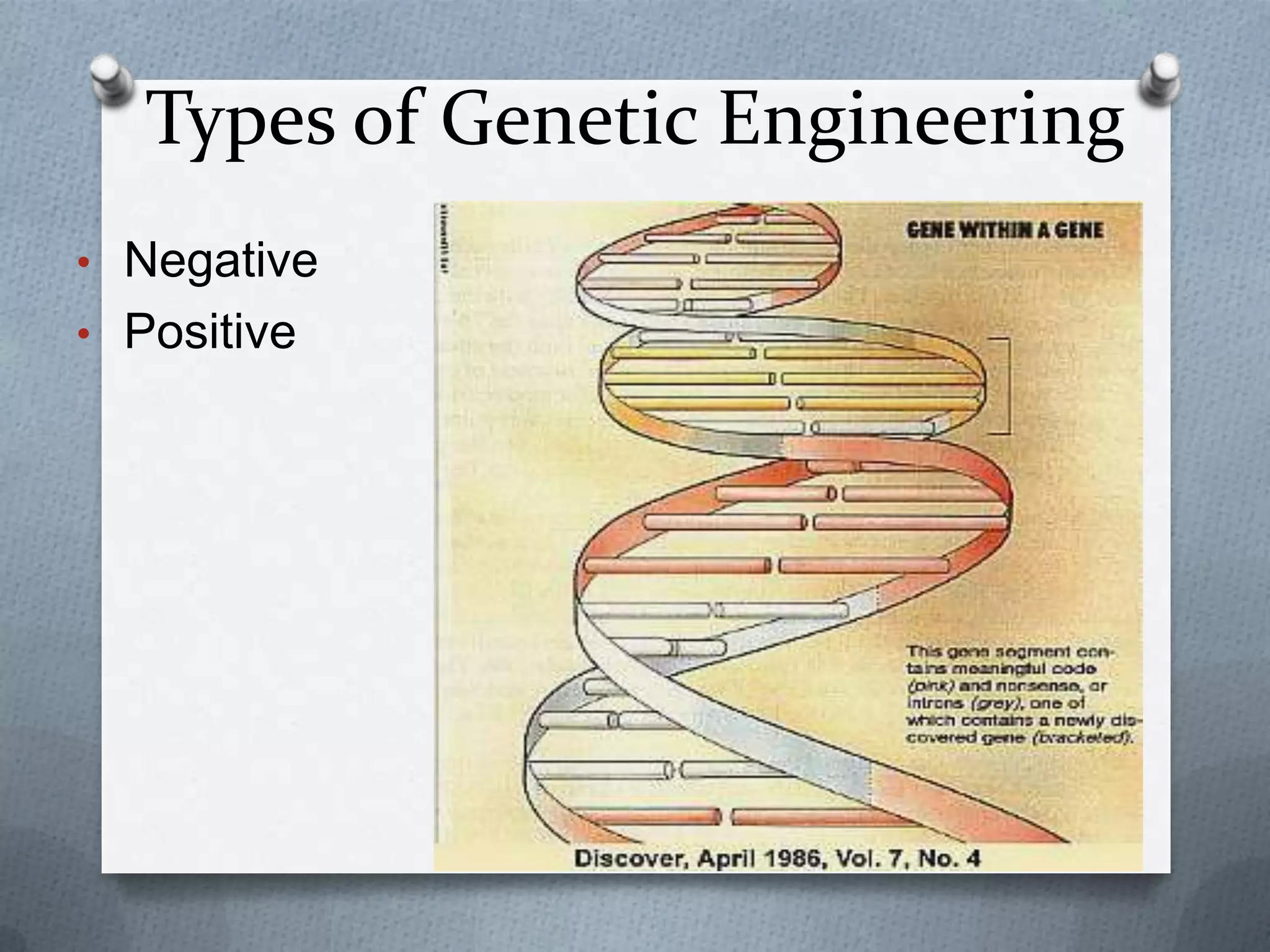 Types of Genetic Engineering
• Negative
• Positive
 