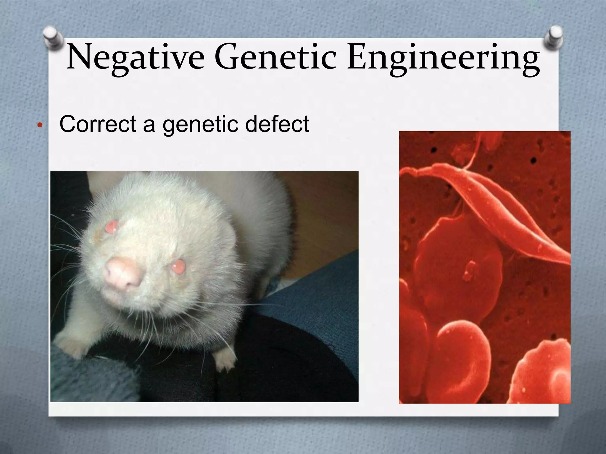 Negative Genetic Engineering
• Correct a genetic defect
 
