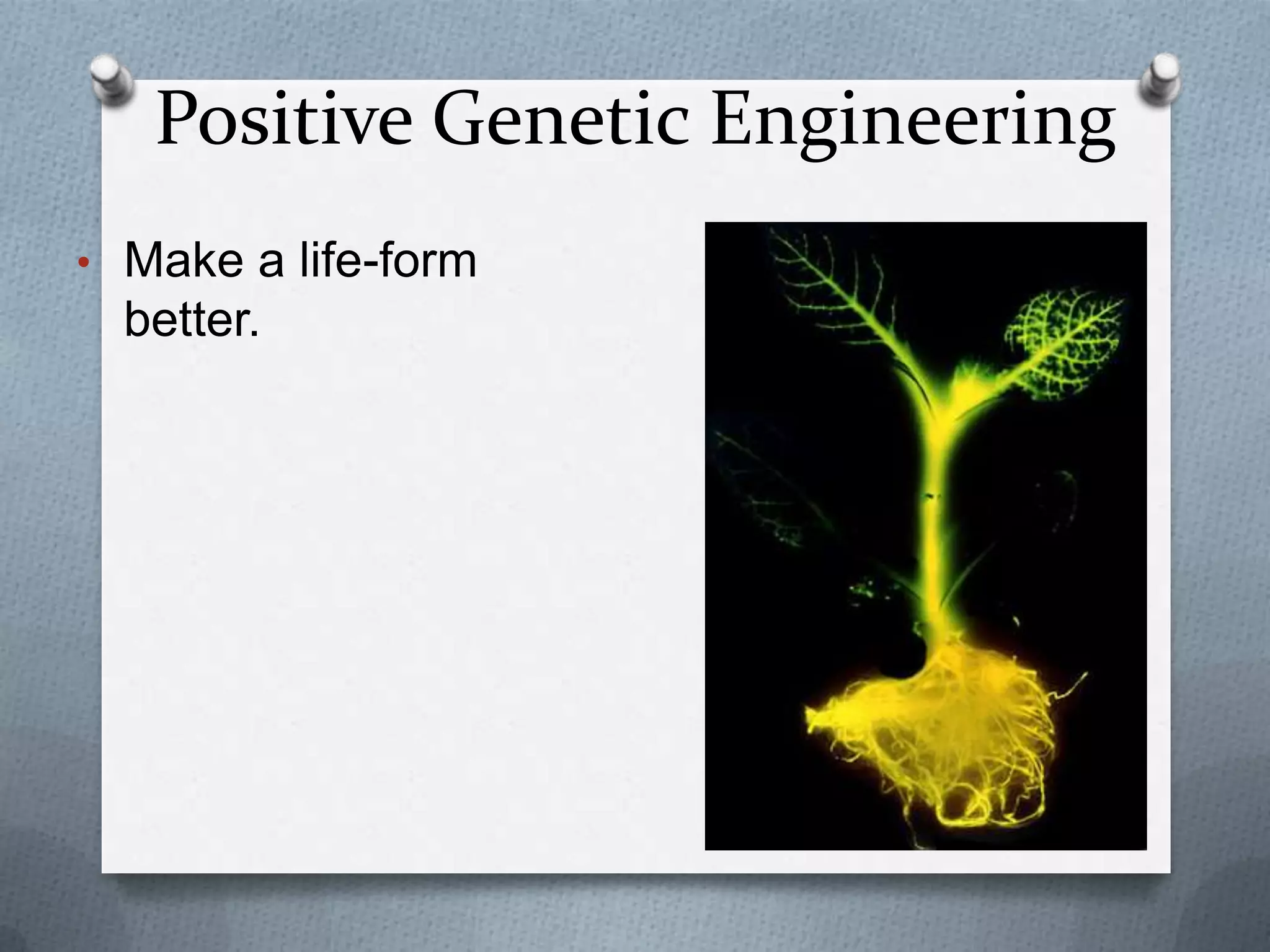Positive Genetic Engineering
• Make a life-form
  better.
 