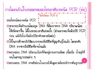 ข้อจากัดของ PCR !!!
 