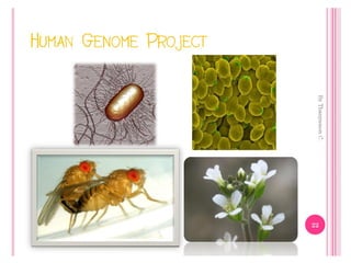 Genetic engineering แก้ไข60