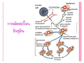 Genetic engineering แก้ไข60