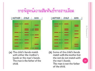 Genetic engineering แก้ไข60