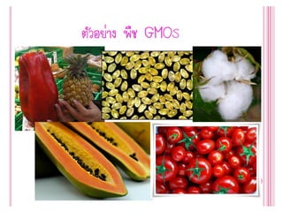 Genetic engineering แก้ไข60