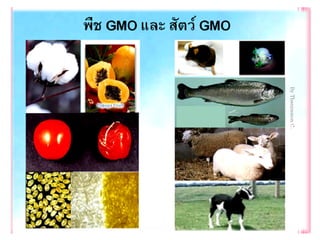 Genetic engineering แก้ไข60