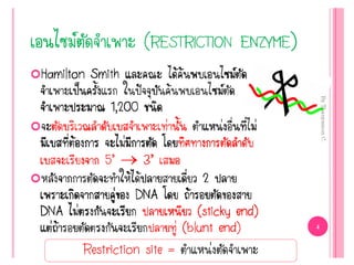 Restriction site = ตาแหน่งตัดจาเพาะ
 