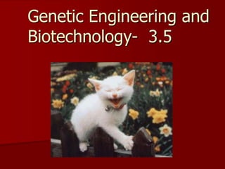 Genetic Engineering and
Biotechnology- 3.5
 