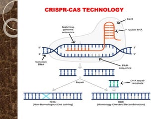 CRISPR-CAS TECHNOLOGY
 