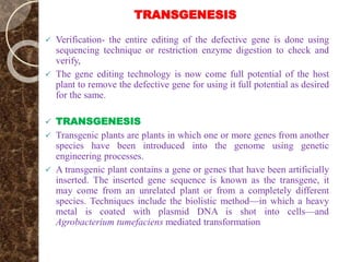 TRANSGENESIS
 Verification- the entire editing of the defective gene is done using
sequencing technique or restriction enzyme digestion to check and
verify,
 The gene editing technology is now come full potential of the host
plant to remove the defective gene for using it full potential as desired
for the same.
 TRANSGENESIS
 Transgenic plants are plants in which one or more genes from another
species have been introduced into the genome using genetic
engineering processes.
 A transgenic plant contains a gene or genes that have been artificially
inserted. The inserted gene sequence is known as the transgene, it
may come from an unrelated plant or from a completely different
species. Techniques include the biolistic method—in which a heavy
metal is coated with plasmid DNA is shot into cells—and
Agrobacterium tumefaciens mediated transformation
 