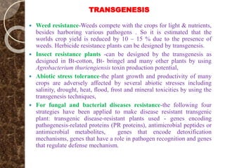 TRANSGENESIS
 Weed resistance-Weeds compete with the crops for light & nutrients,
besides harboring various pathogens . So it is estimated that the
worlds crop yield is reduced by 10 – 15 % due to the presence of
weeds. Herbicide resistance plants can be designed by transgenesis.
 Insect resistance plants -can be designed by the transgenesis as
designed in Bt-cotton, Bt- bringel and many other plants by using
Agrobacterium thuriengiensis toxin production potential,
 Abiotic stress tolerance-the plant growth and productivity of many
crops are adversely affected by several abiotic stresses including
salinity, drought, heat, flood, frost and mineral toxicities by using the
transgenesis techniques,
 For fungal and bacterial diseases resistance-the following four
strategies have been applied to make disease resistant transgenic
plant: transgenic disease-resistant plants used - genes encoding
pathogenesis-related proteins (PR proteins), antimicrobial peptides or
antimicrobial metabolites, genes that encode detoxification
mechanisms, genes that have a role in pathogen recognition and genes
that regulate defense mechanism.
 