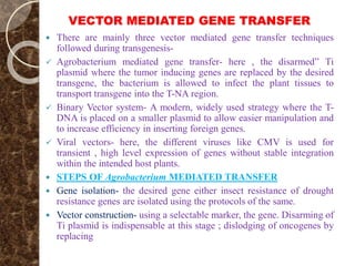 VECTOR MEDIATED GENE TRANSFER
 There are mainly three vector mediated gene transfer techniques
followed during transgenesis-
 Agrobacterium mediated gene transfer- here , the disarmed” Ti
plasmid where the tumor inducing genes are replaced by the desired
transgene, the bacterium is allowed to infect the plant tissues to
transport transgene into the T-NA region.
 Binary Vector system- A modern, widely used strategy where the T-
DNA is placed on a smaller plasmid to allow easier manipulation and
to increase efficiency in inserting foreign genes.
 Viral vectors- here, the different viruses like CMV is used for
transient , high level expression of genes without stable integration
within the intended host plants.
 STEPS OF Agrobacterium MEDIATED TRANSFER
 Gene isolation- the desired gene either insect resistance of drought
resistance genes are isolated using the protocols of the same.
 Vector construction- using a selectable marker, the gene. Disarming of
Ti plasmid is indispensable at this stage ; dislodging of oncogenes by
replacing
 