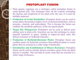 PROTOPLAST FUSION
 Plant genetic engineers use a technique called protoplast fusion to
create hybrid cells. This technique fuses all the contents (including
the nucleus and cytoplasm) of two plant cells into one. It is used for
multiple purposes-
 Production of Useful Metabolites: Protoplast fusion can be used to
create plants that produce higher levels of desired metabolites, such as
enzymes, vitamins, and antioxidants. This is because the fusion can
combine the metabolic pathways of the two parent plants.
 Target Site Mutagenesis: Protoplasts can be used to deliver gene
editing tools to plant cells. Scientists can use this technique to create
targeted mutations in genes, leading to improved plant traits like
disease resistance or herbicide tolerance.
 Production of Herbicide-Resistant Plants: Protoplast fusion can
combine genes for herbicide resistance from different plants to create
plants that are resistant to a wider range of herbicides.
 Introduction and Establishment of Disease Resistance: Protoplast
fusion can be used to transfer disease resistance genes from one plant
species to another. This can help to create crops that are resistant to a
wider range of diseases..
 