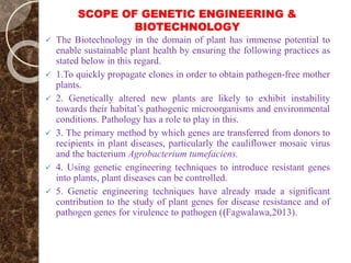 SCOPE OF GENETIC ENGINEERING &
BIOTECHNOLOGY
 The Biotechnology in the domain of plant has immense potential to
enable sustainable plant health by ensuring the following practices as
stated below in this regard.
 1.To quickly propagate clones in order to obtain pathogen-free mother
plants.
 2. Genetically altered new plants are likely to exhibit instability
towards their habitat’s pathogenic microorganisms and environmental
conditions. Pathology has a role to play in this.
 3. The primary method by which genes are transferred from donors to
recipients in plant diseases, particularly the cauliflower mosaic virus
and the bacterium Agrobacterium tumefaciens.
 4. Using genetic engineering techniques to introduce resistant genes
into plants, plant diseases can be controlled.
 5. Genetic engineering techniques have already made a significant
contribution to the study of plant genes for disease resistance and of
pathogen genes for virulence to pathogen ((Fagwalawa,2013).
 