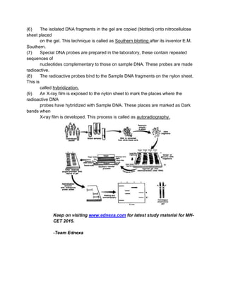 (6) The isolated DNA fragments in the gel are copied (blotted) onto nitrocellulose
sheet placed
on the gel. This technique is called as Southern blotting after its inventor E.M.
Southern.
(7) Special DNA probes are prepared in the laboratory, these contain repeated
sequences of
nucleotides complementary to those on sample DNA. These probes are made
radioactive.
(8) The radioactive probes bind to the Sample DNA fragments on the nylon sheet.
This is
called hybridization.
(9) An X-ray film is exposed to the nylon sheet to mark the places where the
radioactive DNA
probes have hybridized with Sample DNA. These places are marked as Dark
bands when
X-ray film is developed. This process is called as autoradiography.
Keep on visiting www.ednexa.com for latest study material for MH-
CET 2015.
-Team Ednexa
 