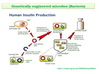 GENETIC ENGINEERING AND ITS APPLICATION.pptx